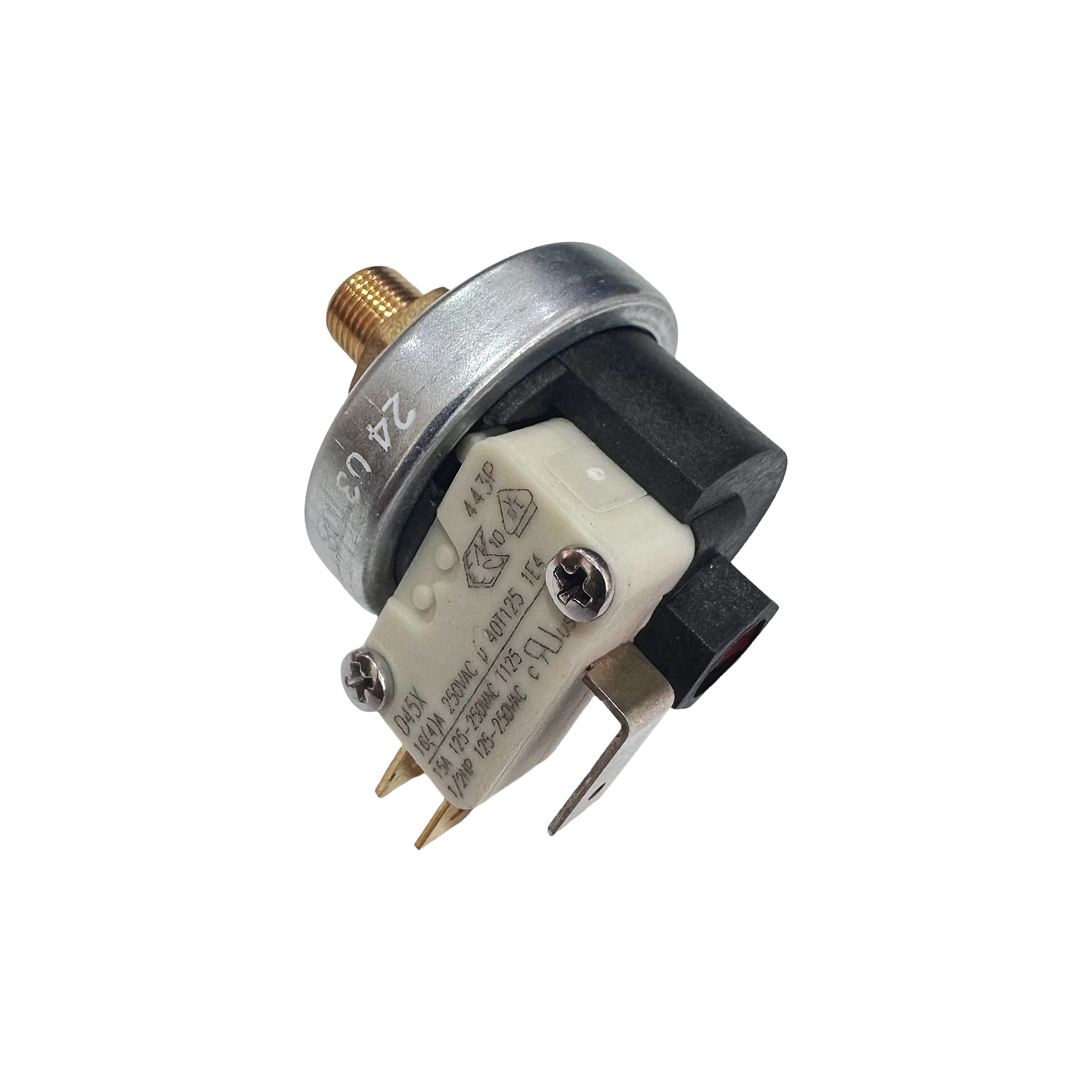 Miniatura 1